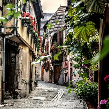Daire In Le 34 Petite Venise